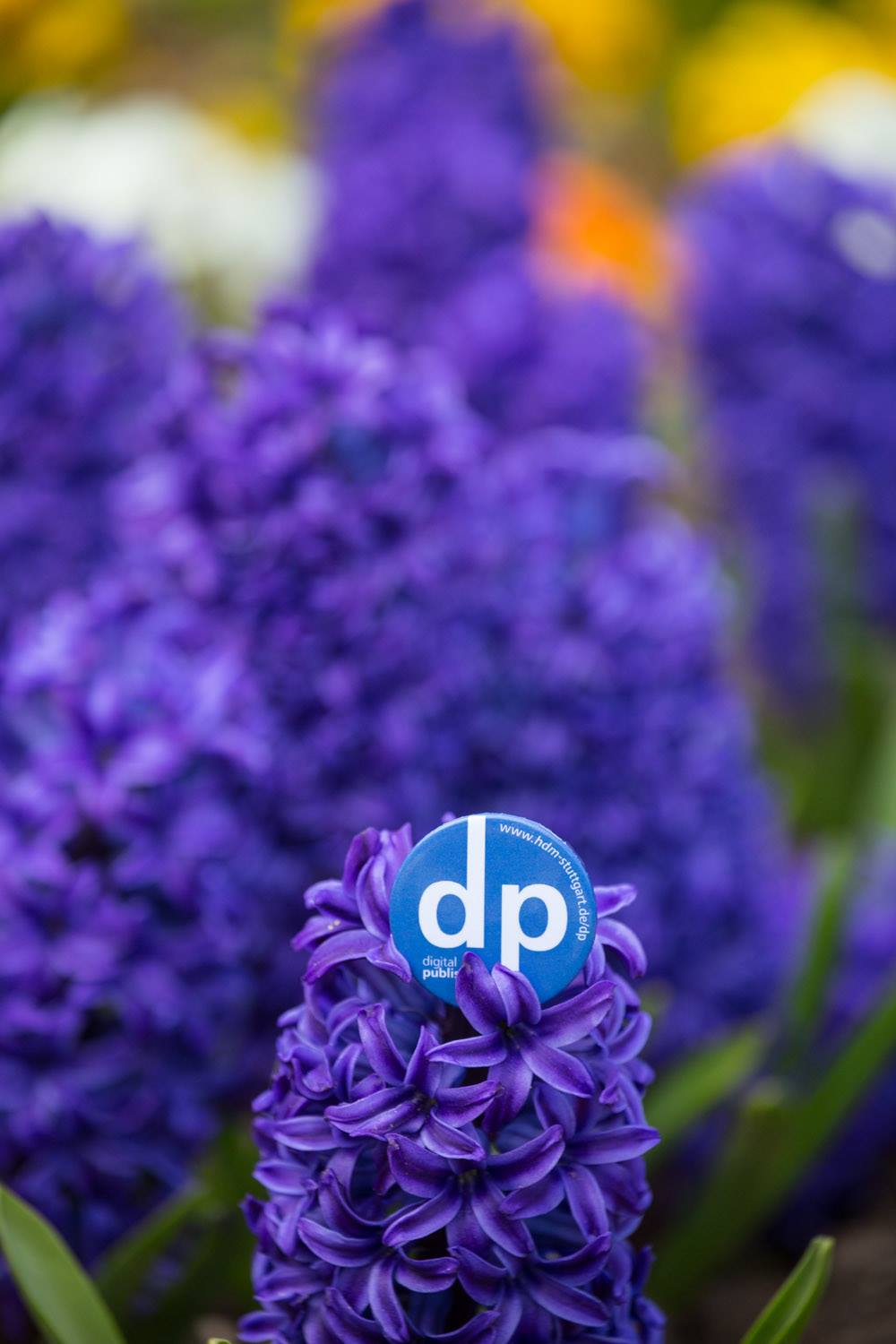 Der DP-Button in der Stuttgarter Wilhelma Der DP-Button in der Stuttgarter Wilhelma