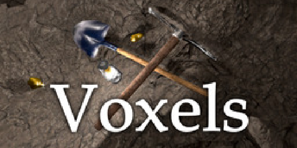 Voxels