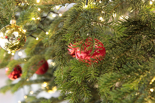 HdM Weihnachtsbaum 