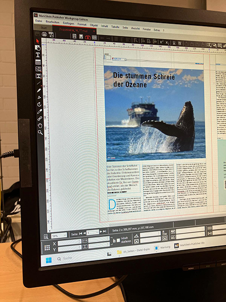 Einblick in die Publishing-Software