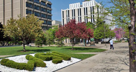 Zoom Bild öffnen Wayne State University