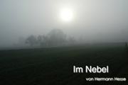 Multivision "Im Nebel"