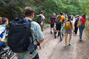 Zeit zum Kennenlernen und Diskutieren: Studierende spazieren mit Radfahrenden und Wandernden durch den Freiburger Wald (Foto: Nicola Wettmarshausen)