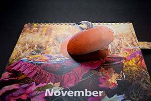 Ein Kürbis steht für den November (Fotos: HdM Stuttgart / Felicia Glas)