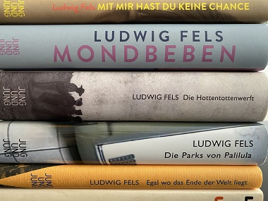 Der Autor Ludwig Fels (1946-2021) hat zahlreiche Romane, Erzählungen, Gedichtbände, Theaterstücke und Hörspiele verfasst (Foto: Oliver Zöllner). Der Autor Ludwig Fels (1946-2021) hat zahlreiche Romane, Erzählungen, Gedichtbände, Theaterstücke und Hörspiele verfasst (Foto: Oliver Zöllner).