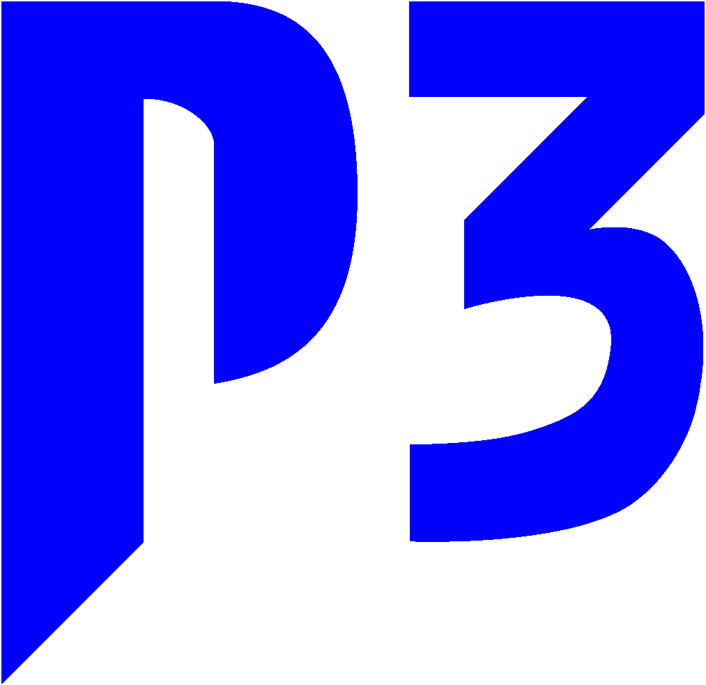P3